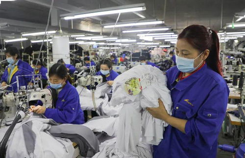 培育新機(jī) 開(kāi)辟新局——落實(shí)全國(guó)兩會(huì)精神激發(fā)經(jīng)濟(jì)發(fā)展新動(dòng)能述評(píng)